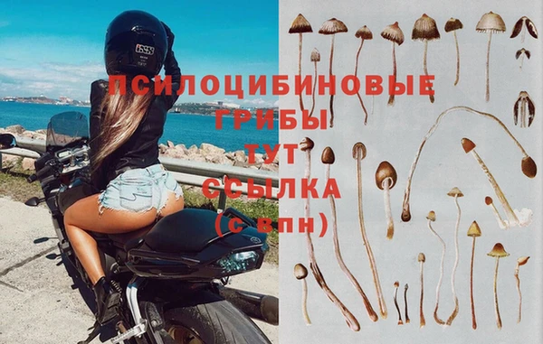 jwh Верея