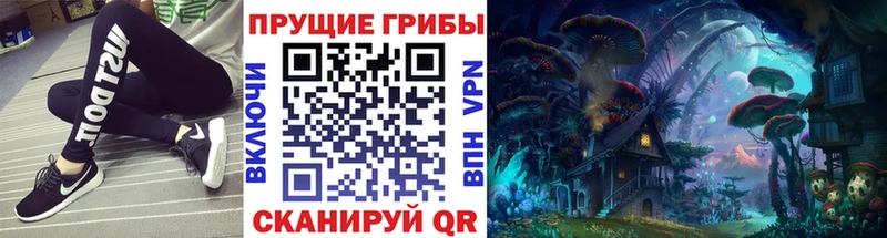 где продают наркотики  KRAKEN маркетплейс  Псилоцибиновые грибы Psilocybine cubensis  Сургут 