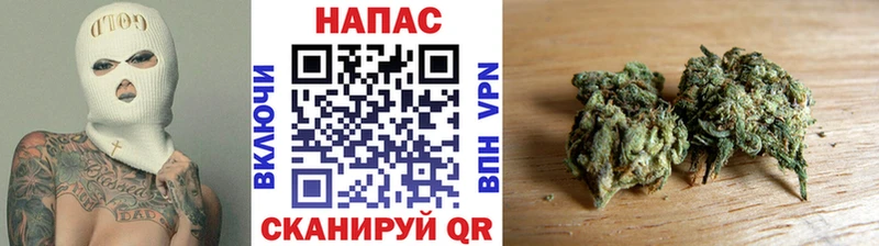 маркетплейс как зайти  Сургут  Бошки марихуана тримм  купить наркотики цена 